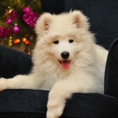 Ксюхус Необыкновенный, 11.09, Саратов