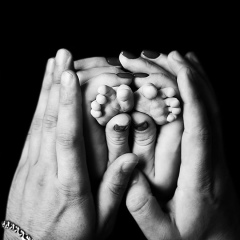 Никита Опря, 30.01, Донецк