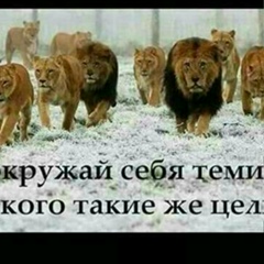 Арыстанбек Адилбаев, 09.07.1983, Кызылорда