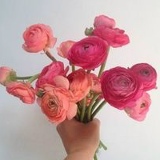 Mandalay Thu, 12.09.1963, Mandalay