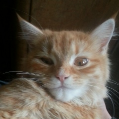 Дмитрий Медведюк, 20.03.1974, Кишинев