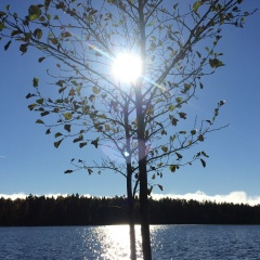 Анна Аполлонова, 20.09, Санкт-Петербург