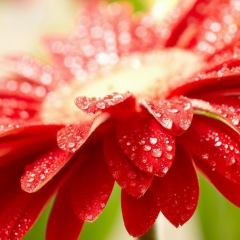 Юлия Jul, 08.08.1987, Москва