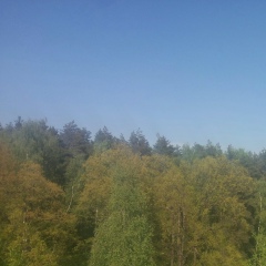 Николай Петров, 04.03.1985