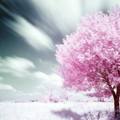 Гыязбек Ниязов, 30.09.1993, Бишкек