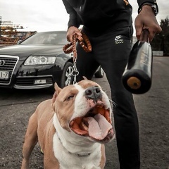 Abilhan Nurahanuli, 03.01