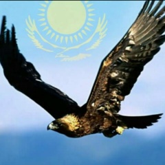 Сакен Айшуак, Актау