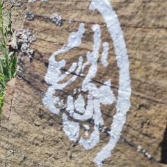 Kasem Ibn-Siradj, 22.06.1941, Bethlehem