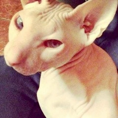 Светлана Полуянчик, 15.09, Москва