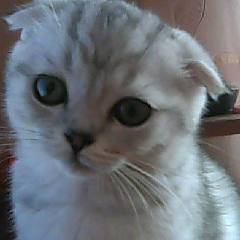 Оксана Лавлинская, 09.06.2000