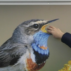 Настенька Бухалда, 14.07.1992, Киев