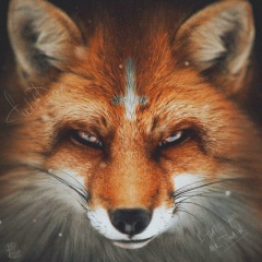 Artem Andrushenko, 07.02.1985, Longyearbyen