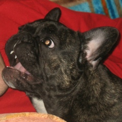 Константин Лев, 25.02.1988, Минск