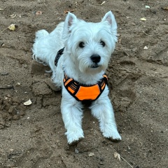 Ренади Осипов, 09.07.1981, Ивантеевка