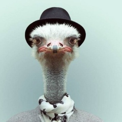 Григорий Кавин, 04.11, Ярославль