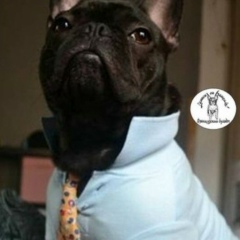 Александра Самойлова, 12.07