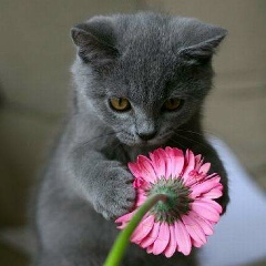 Наталья Конева, 02.10, Домодедово