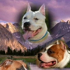 Наташа Куценко, 04.03, Киев