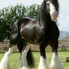 Ерик Смагулов, 25.08.1977, Алматы