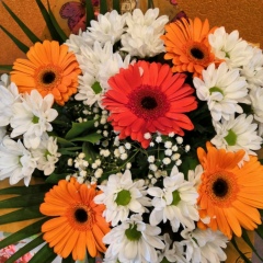 Екатерина Цветкова, 08.12, Великие Луки