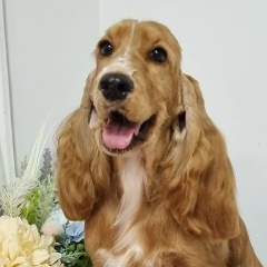 Ольга Павилсонс, 06.03, Калининград