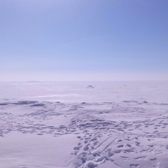 Евгений Журавлёв, 27.05, Москва