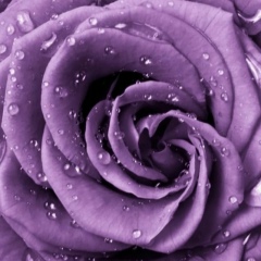 Маргарита Королева, 01.03, Алматы