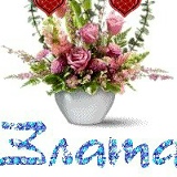 Златка Мирзалыева, Санкт-Петербург