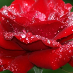 Надежда Авдасёва, 25.04.1977