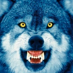 Самвел Арм, 25.08, Москва