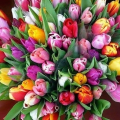 Алина Сабурская, 02.09, Казань