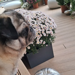 Татьяна Кирженкова, 23.05, Москва