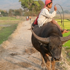 မင္း မကိုဋ္, 16.06.1985