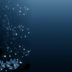 Шамиль Газиев, Грозный