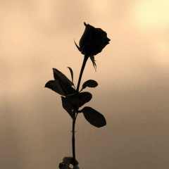 Нурдаулет Саликов