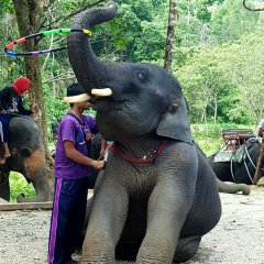 Диана Байжокина, Алматы