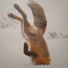 Светлана Ахпайдерова, Челябинск