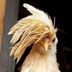 Fraulein Weisser-Schnee, 09.01.1990, Москва