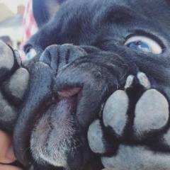 Алексей Брянцев, 07.10, Санкт-Петербург