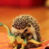 Лена Кизнер, 28.07.1989, Омск