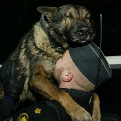 Фёдор Нарвский, 05.10, Санкт-Петербург