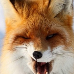 Лиза Краснова, 14.02, Санкт-Петербург