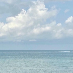 Акмаржан Жылкайдар, 13.01