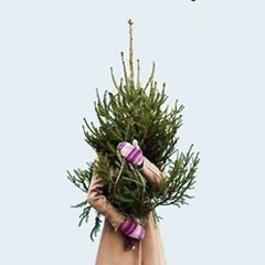 Валентина Тихомирова, Колпино