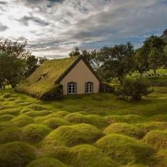 Бонч Бруевич, Великий Новгород