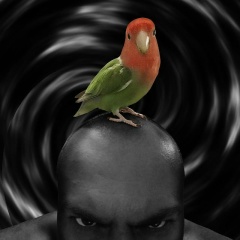 Всеволод Зыбкин, 14.01.1977, Саранск