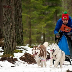 Игорь Смирнов, 23.03.1983, Минск