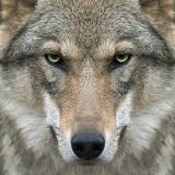 Женя Гудзенко, Киев