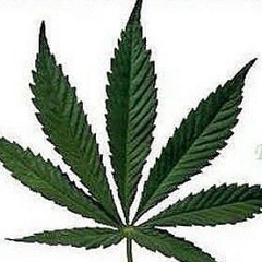 Мазик Зверев, 23.05.1991, Бишкек