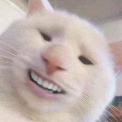 Sardar Alimusaev, 21.01, Санкт-Петербург